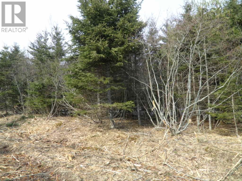 Property at 2P Highway 224 image 1