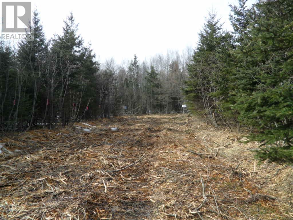 Property at 2P Highway 224 image 2