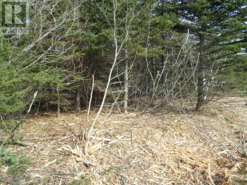 Property at 2P Highway 224 image 3