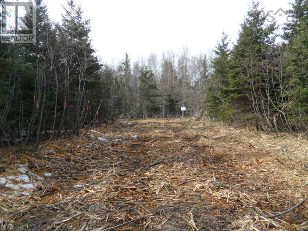 Property at 2P Highway 224 image 4