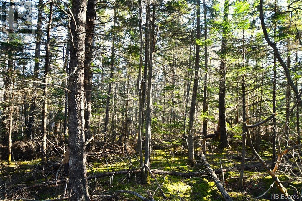 Lot 85-171 Harbour Heigths Drive, welshpool, New Brunswick