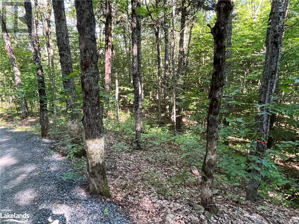 Lot 90 Lookout Point Road, Huntsville, Ontario  P1H 2J2 - Photo 2 - 40560843