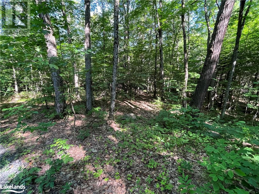 Lot 90 Lookout Point Road, Huntsville, Ontario  P1H 2J2 - Photo 4 - 40560843