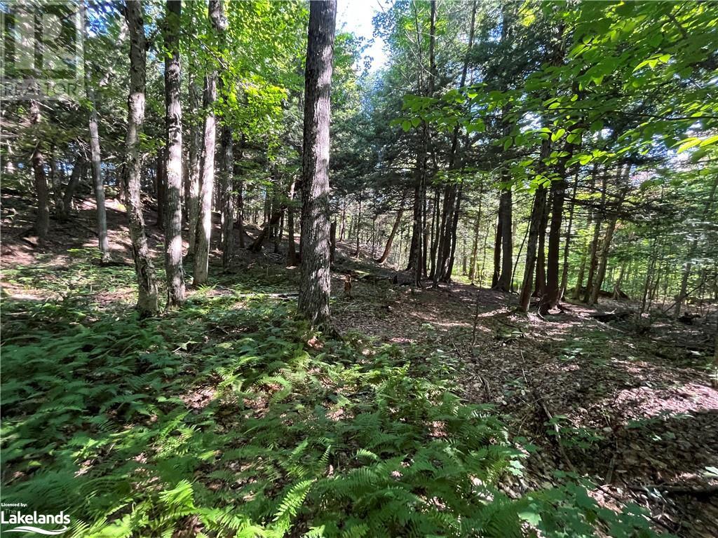 Lot 90 Lookout Point Road, Huntsville, Ontario  P1H 2J2 - Photo 8 - 40560843