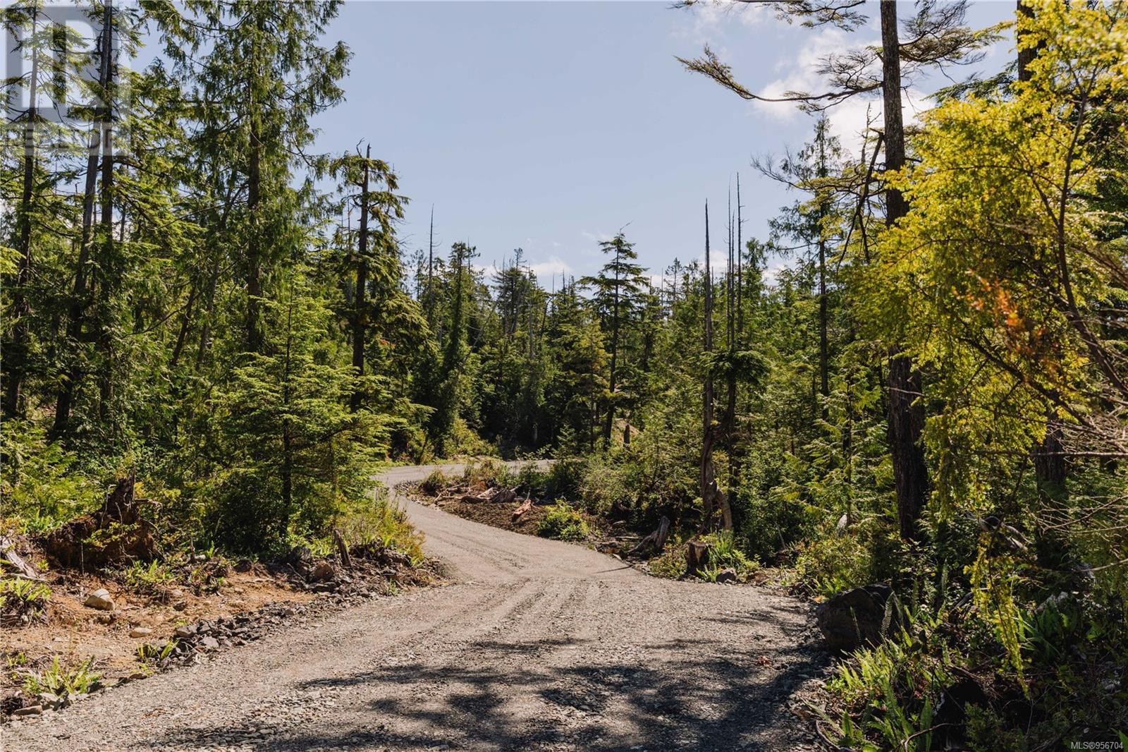 Lot 4 Hawkes Rd, Ucluelet, British Columbia  V0R 3A0 - Photo 8 - 956704
