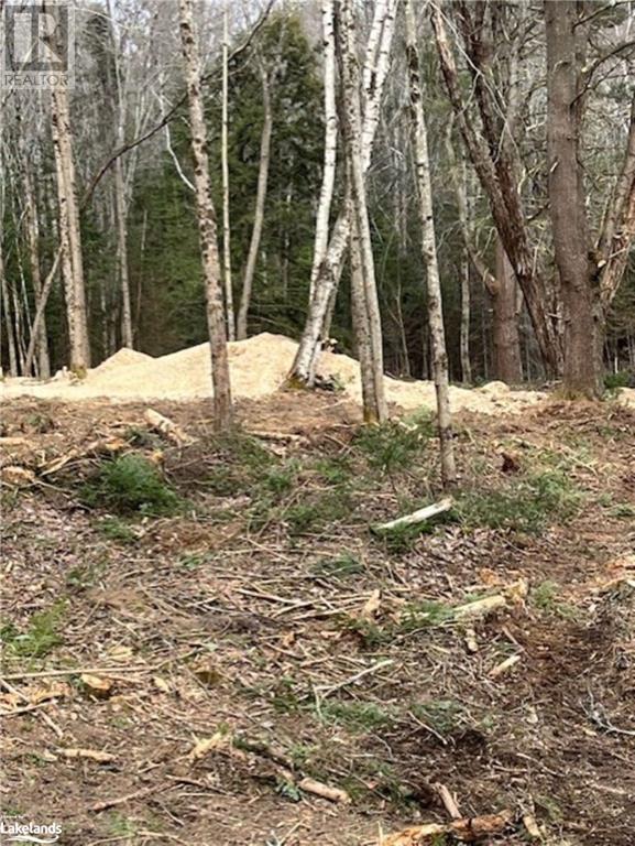 0 Gelert Road, Minden, Ontario  K0M 2K0 - Photo 2 - 40562090
