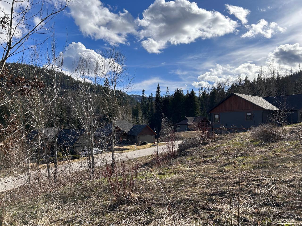 806 White Tail Drive, Rossland, British Columbia  V0G 1Y0 - Photo 4 - 2475708