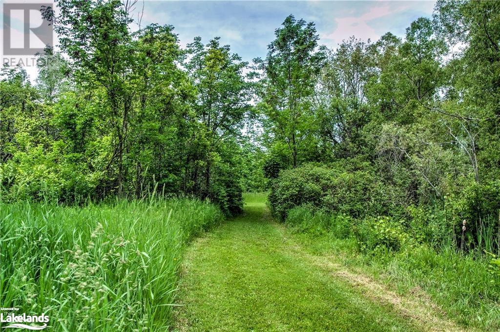 3202 County 124 Road, Duntroon, Ontario  L0M 1H0 - Photo 13 - 40561427