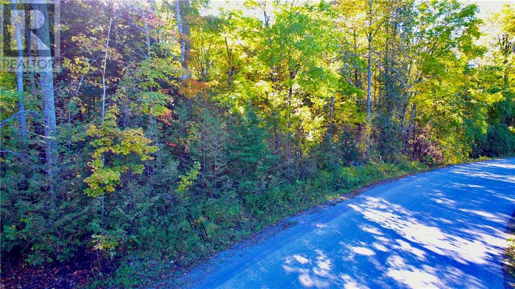 01 Mink Lake Road, Eganville, Ontario  K0J 1T0 - Photo 10 - 1383417