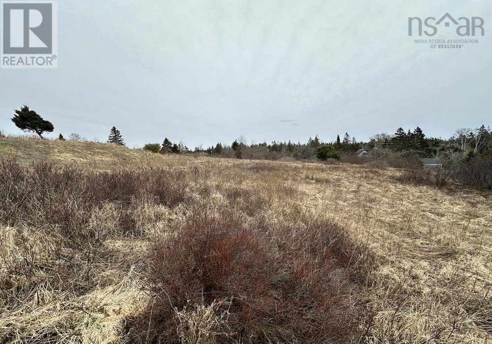 Lot Deer Meadow Lane, Crescent Beach, Nova Scotia  B0R 1C0 - Photo 16 - 202405534