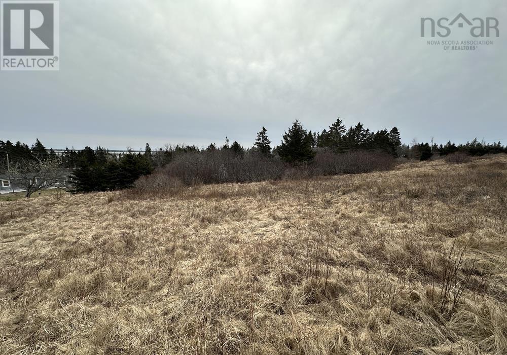 Lot Deer Meadow Lane, Crescent Beach, Nova Scotia  B0R 1C0 - Photo 17 - 202405534