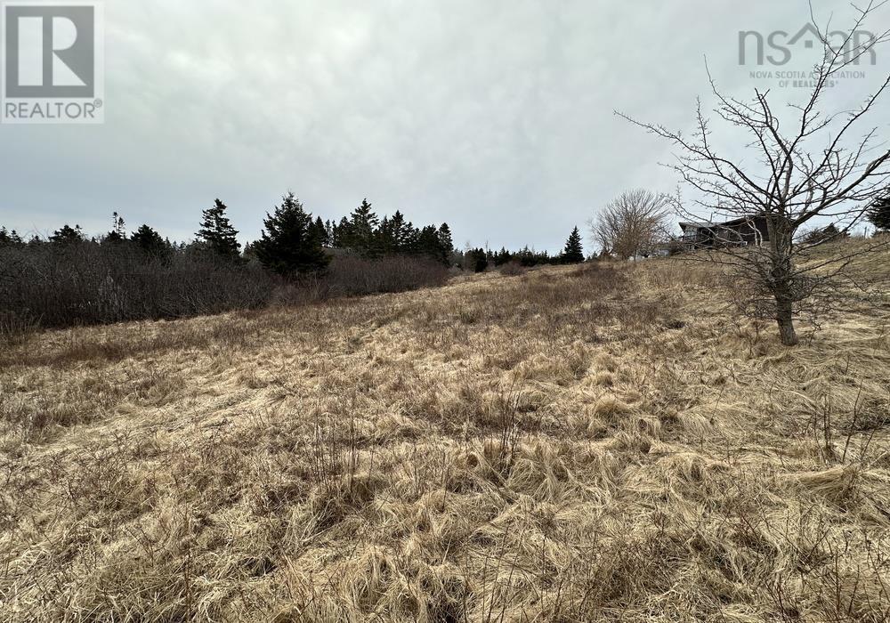 Lot Deer Meadow Lane, Crescent Beach, Nova Scotia  B0R 1C0 - Photo 18 - 202405534