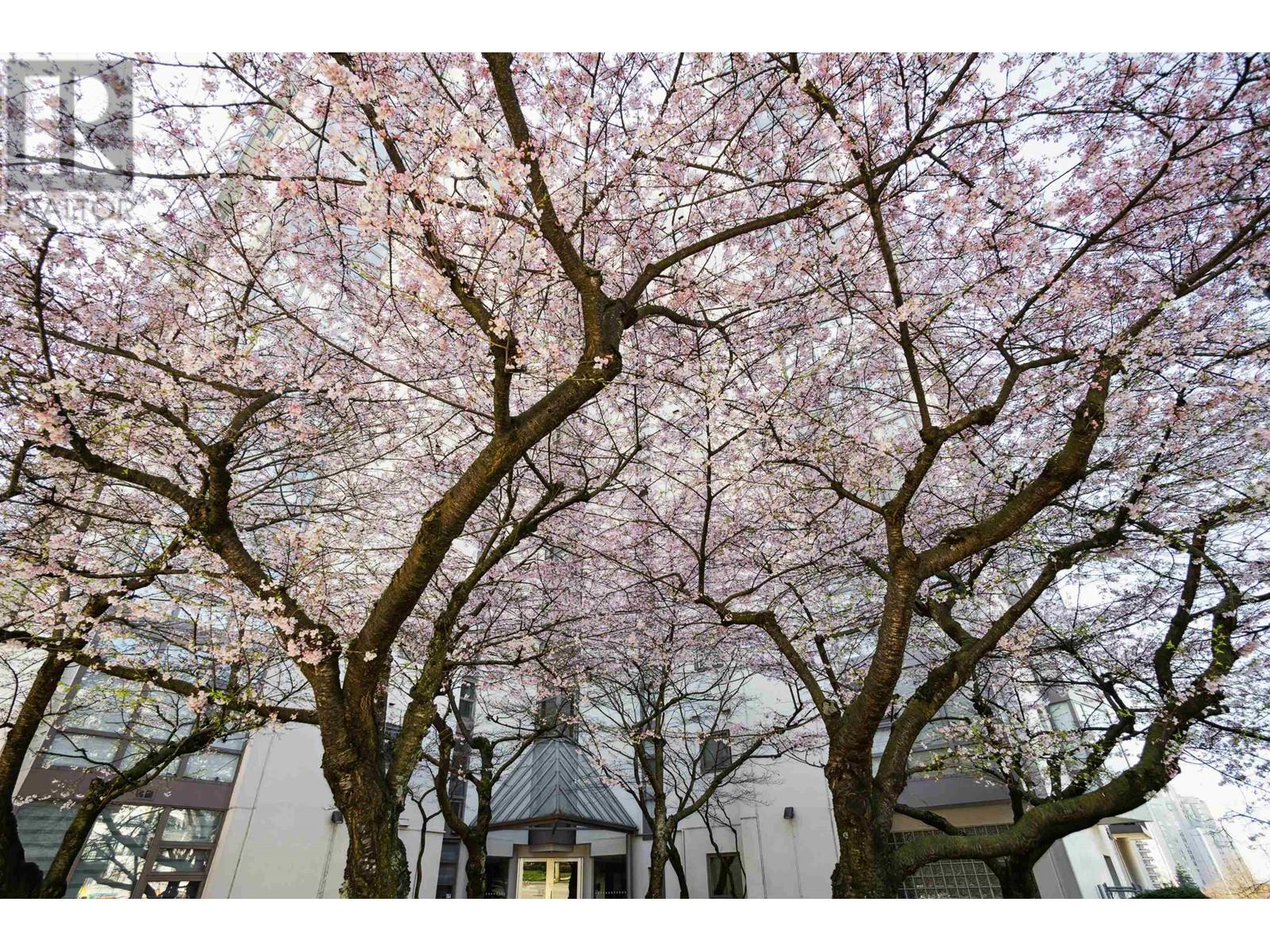 802 98 Tenth Street, New Westminster, British Columbia  V3M 6L8 - Photo 29 - R2863418