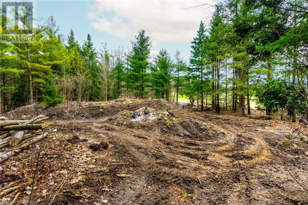 4541a Concession 11 Road, Puslinch, Ontario  N0B 2J0 - Photo 15 - 40562014