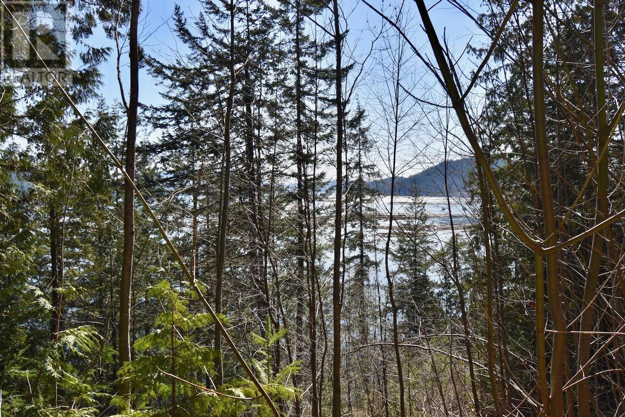 37 Lots Witherby Beach Road, Gibsons, British Columbia  V0N 1V0 - Photo 20 - R2857143