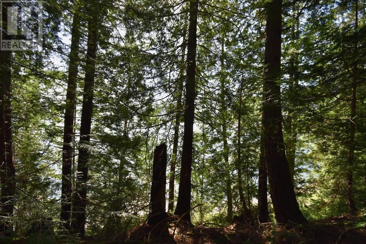 37 Lots Witherby Beach Road, Gibsons, British Columbia  V0N 1V0 - Photo 22 - R2857143
