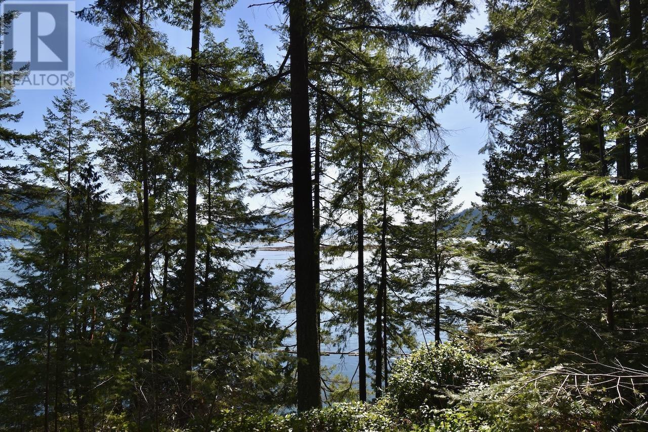 37 Lots Witherby Beach Road, Gibsons, British Columbia  V0N 1V0 - Photo 13 - R2857143