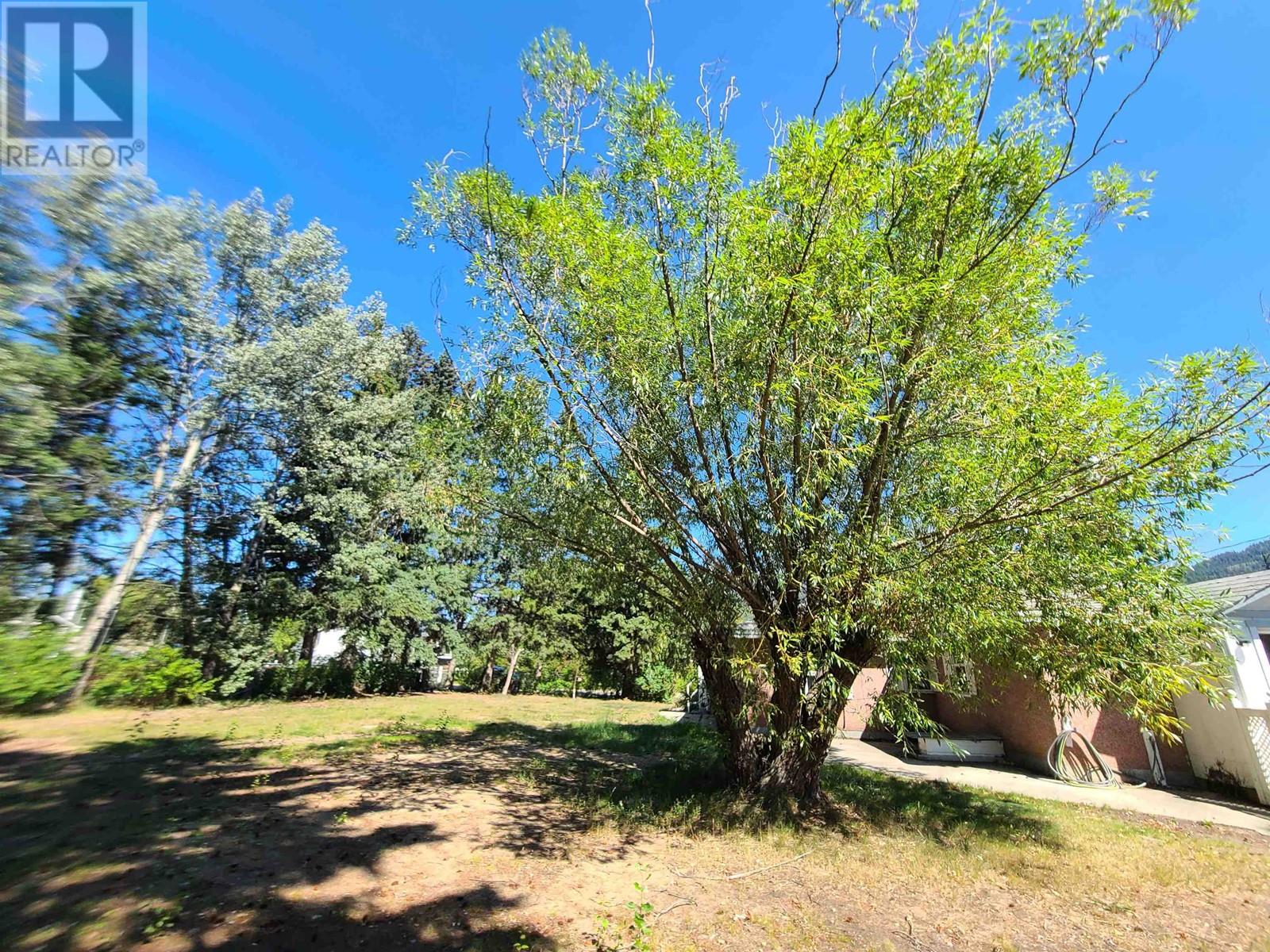 1275 4th Avenue, Valemount, British Columbia  V0E 2Z0 - Photo 20 - R2863442