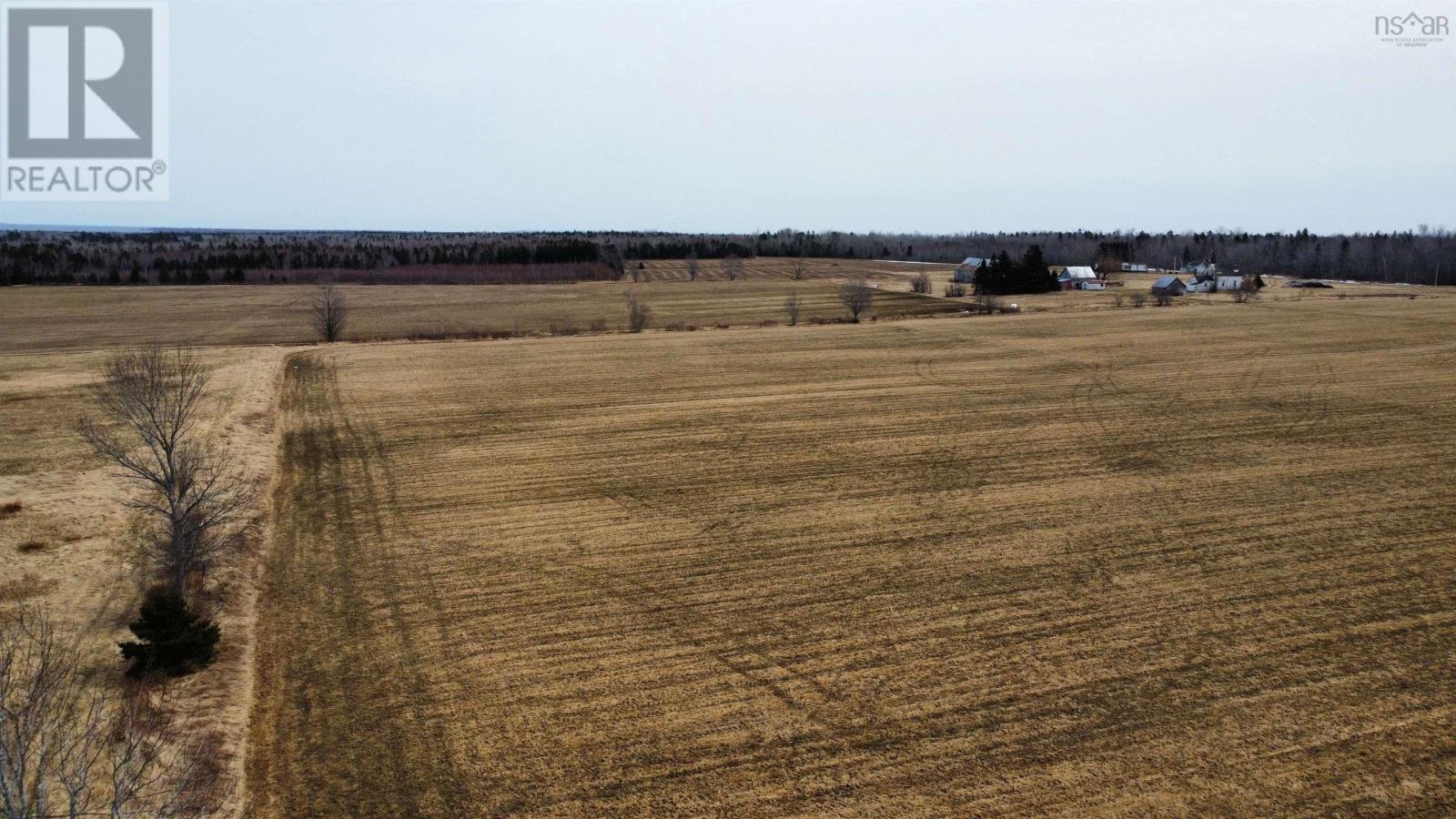 41 Matheson Lane, Scotch Hill, Nova Scotia  B0K 1H0 - Photo 3 - 202405572