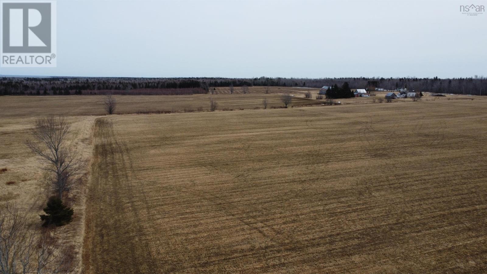 41 Matheson Lane, Scotch Hill, Nova Scotia  B0K 1H0 - Photo 8 - 202405572