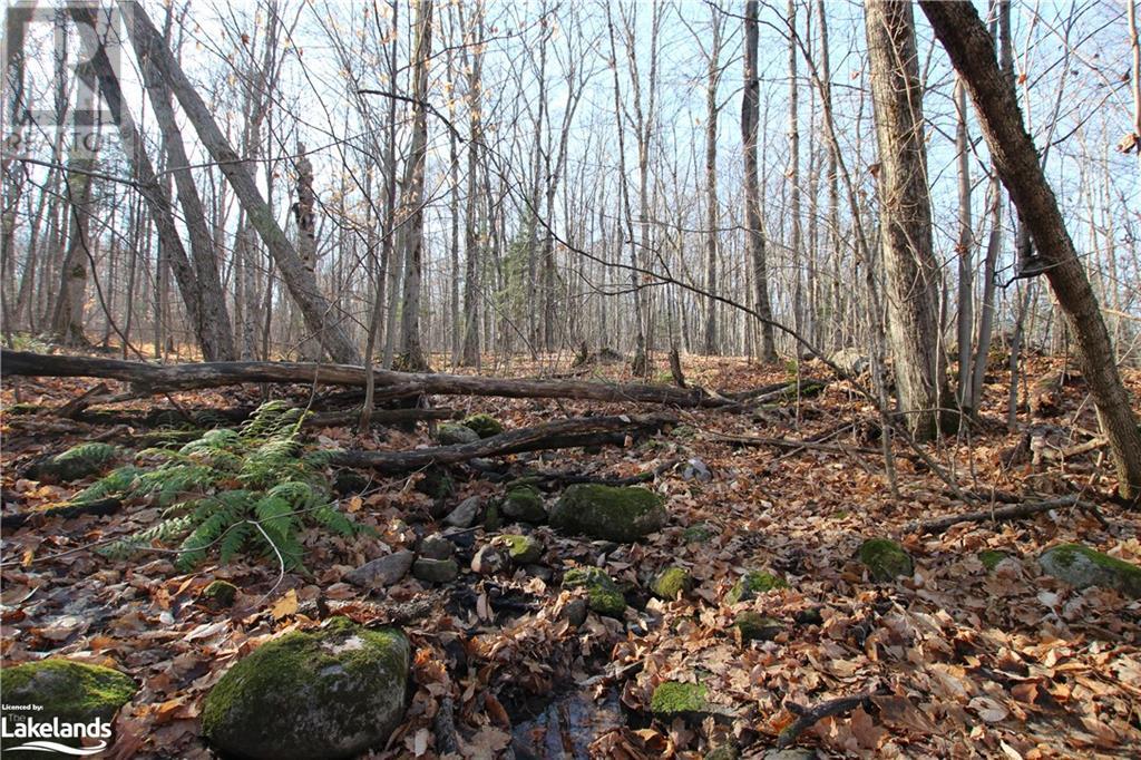 0 Limberlost Point Road, Restoule, Ontario  P0H 2R0 - Photo 11 - 40561690