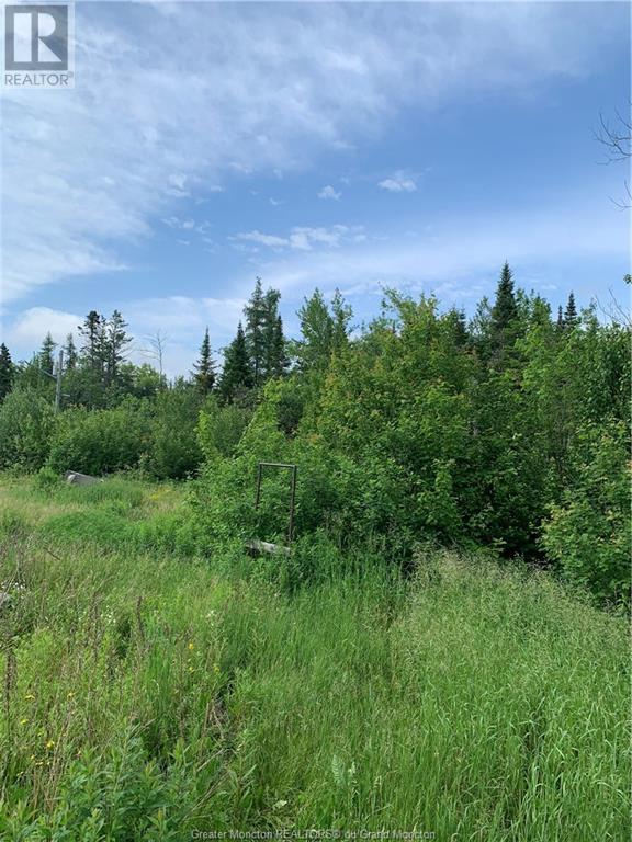 225 South Black River Rd, Black River Bridge, New Brunswick  E1N 5S8 - Photo 11 - M158156