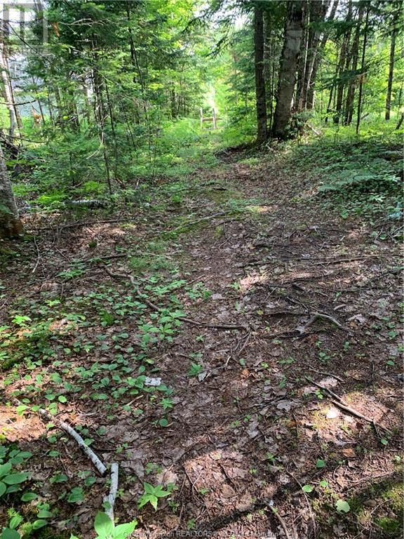 225 South Black River Rd, Black River Bridge, New Brunswick  E1N 5S8 - Photo 10 - M158156