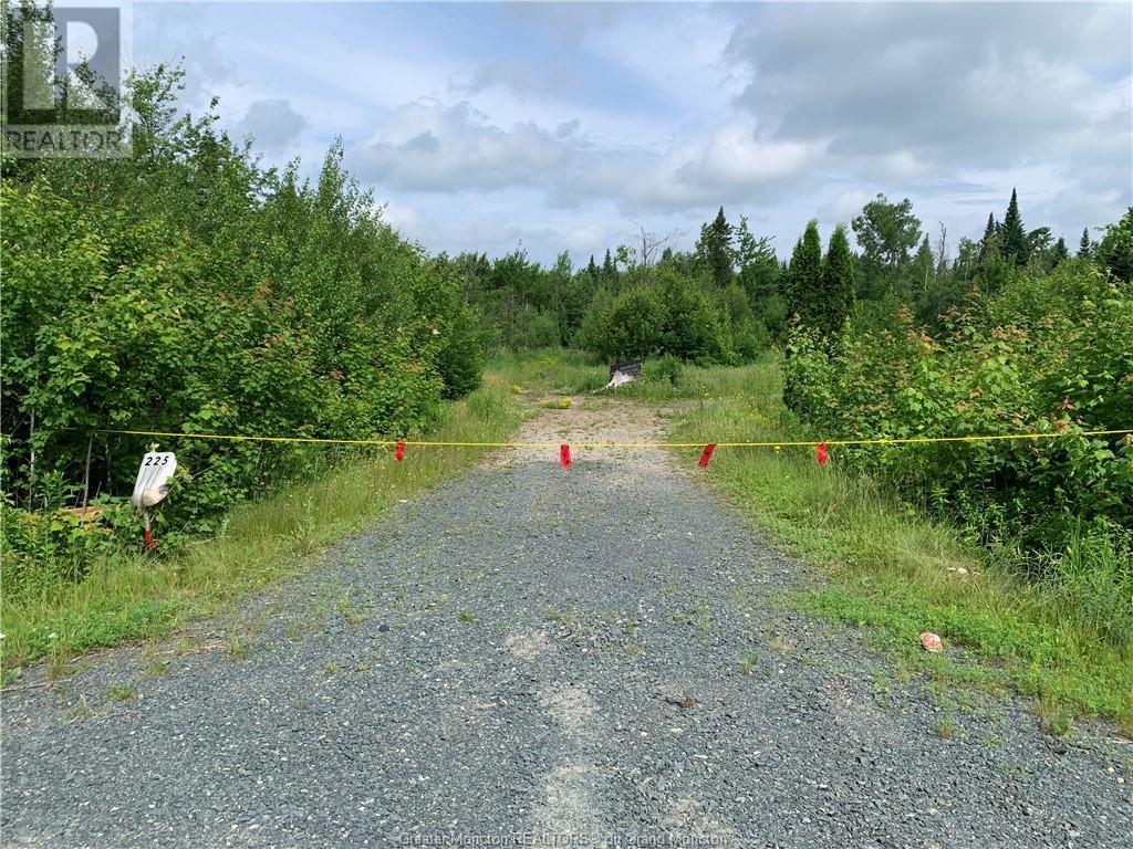 225 South Black River Rd, Black River Bridge, New Brunswick  E1N 5S8 - Photo 16 - M158156