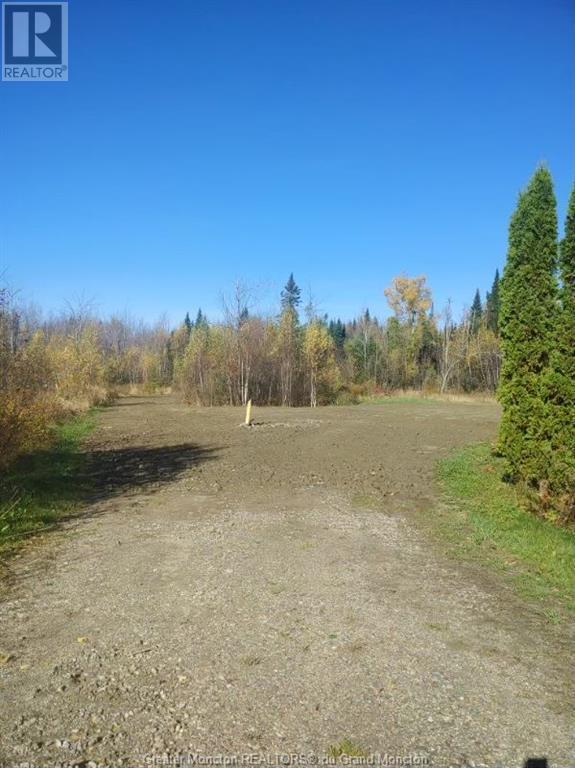 225 South Black River Rd, Black River Bridge, New Brunswick  E1N 5S8 - Photo 2 - M158156
