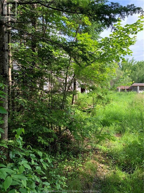 225 South Black River Rd, Black River Bridge, New Brunswick  E1N 5S8 - Photo 9 - M158156