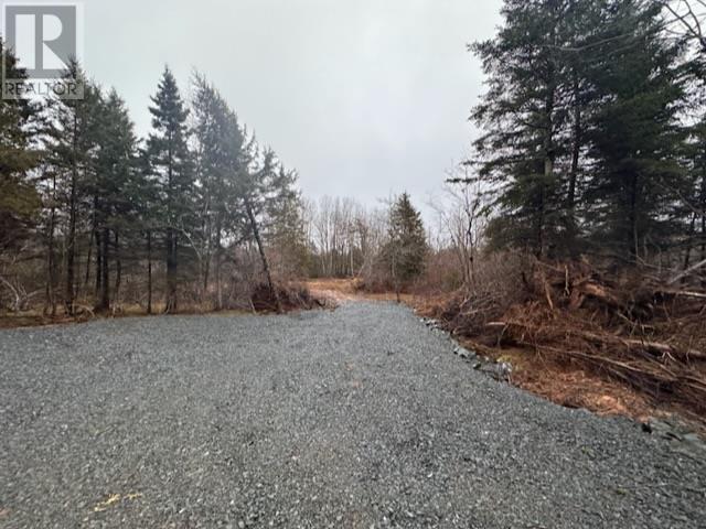 Lot 2 Mcmullin Road, Antrim, Nova Scotia  B2S 2H8 - Photo 5 - 202405582