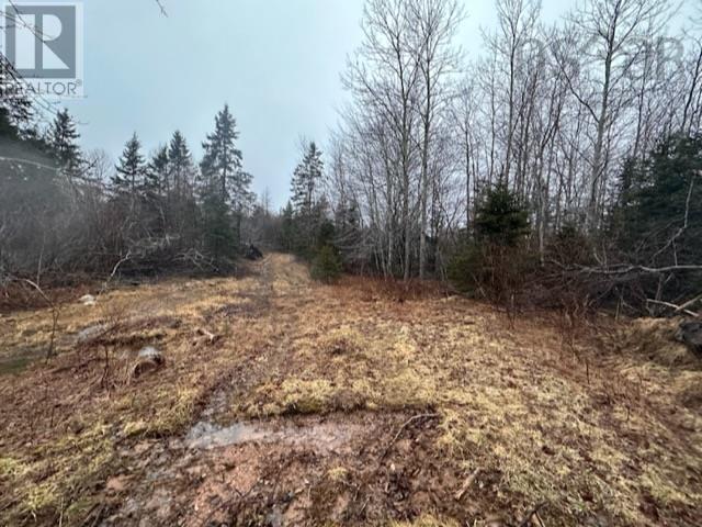 Lot 2 Mcmullin Road, Antrim, Nova Scotia  B2S 2H8 - Photo 6 - 202405582