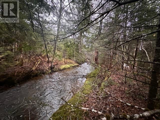 Lot 2 Mcmullin Road, Antrim, Nova Scotia  B2S 2H8 - Photo 7 - 202405582