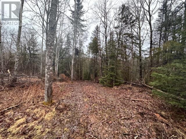Lot 2 Mcmullin Road, Antrim, Nova Scotia  B2S 2H8 - Photo 8 - 202405582