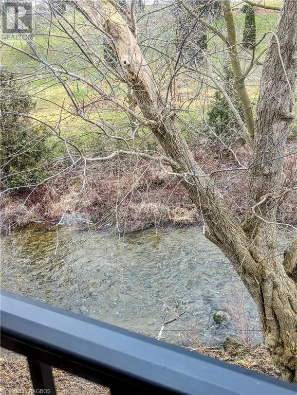 39 1st Avenue, Chesley, Ontario N0G 1L0 (26673410) Royal LePage Don