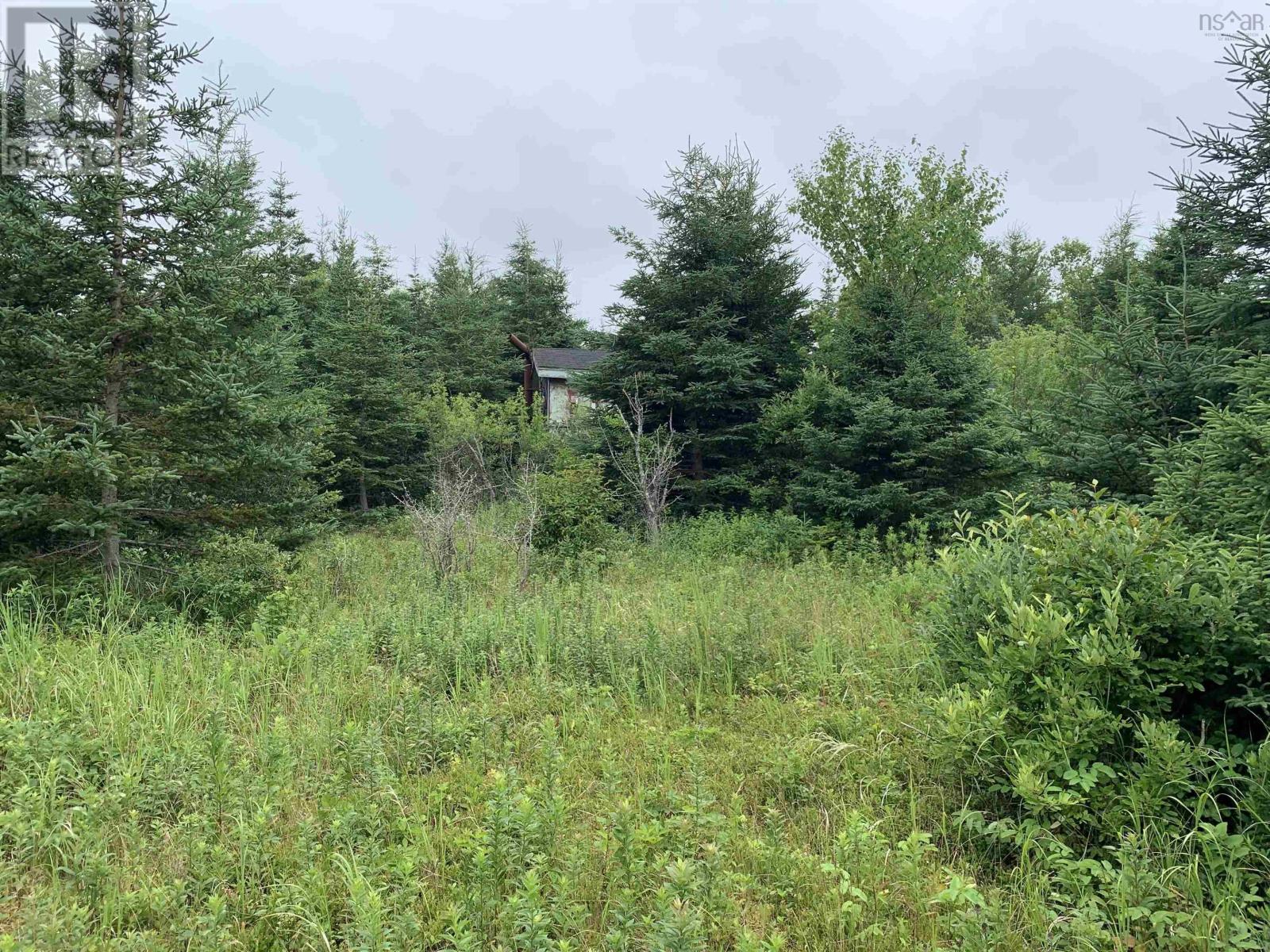 419 Main-A-Dieu Road, Catalone, Nova Scotia  B1C 2E6 - Photo 3 - 202405597