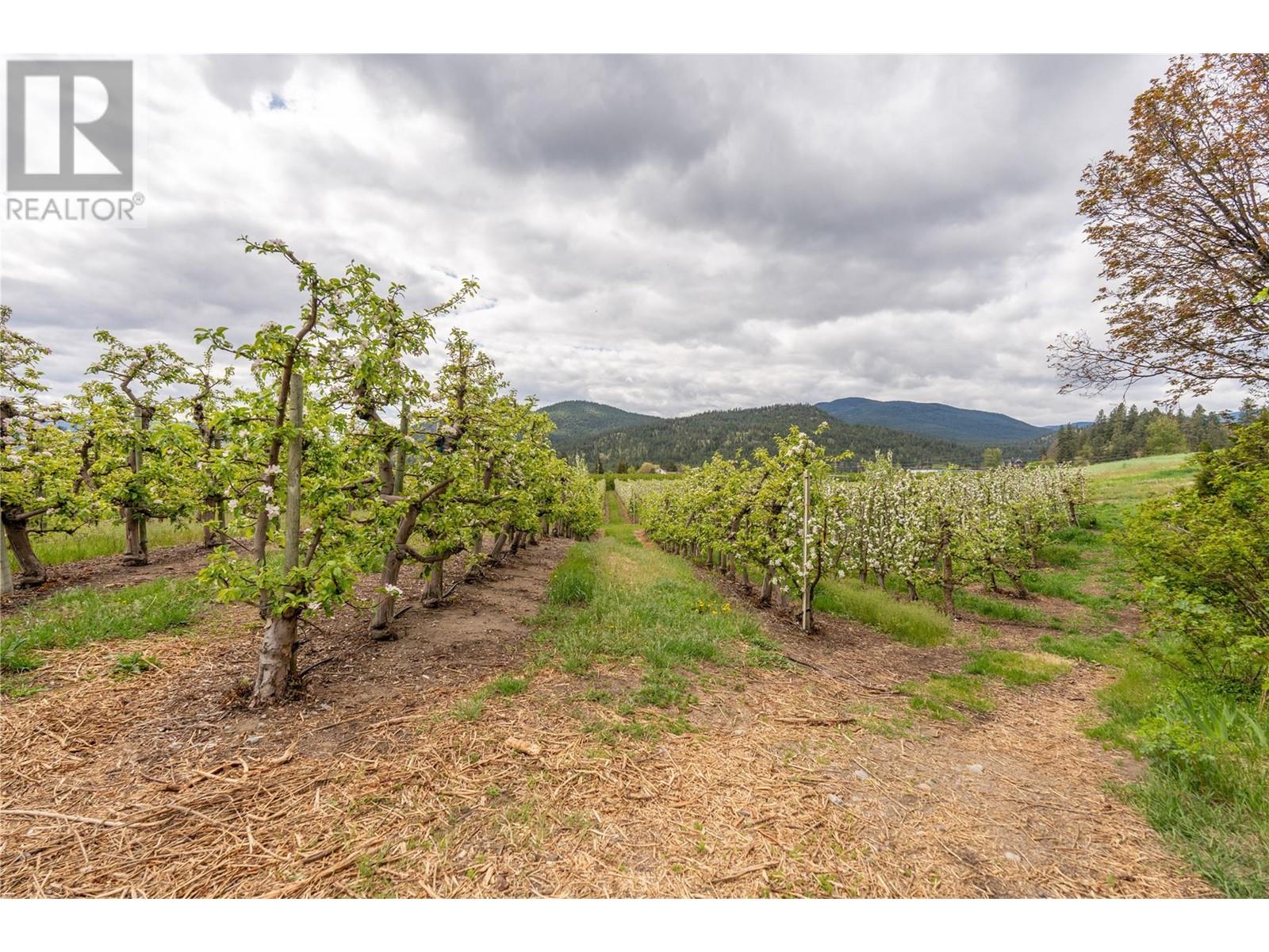 6008 Happy Valley Road, Summerland, British Columbia  V0H 1Z4 - Photo 11 - 10306055