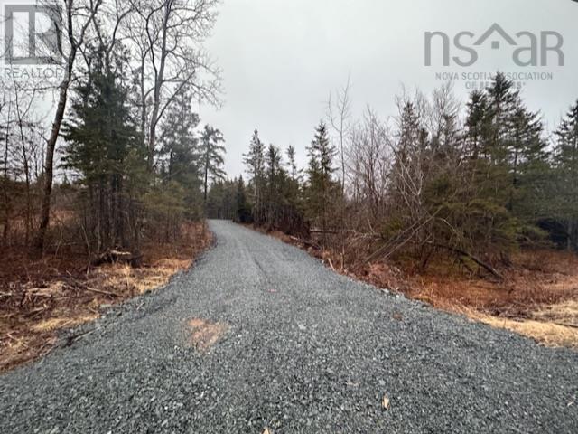 Lot 2 Mcmullin Road, Antrim, Nova Scotia  B2S 2H8 - Photo 4 - 202405582