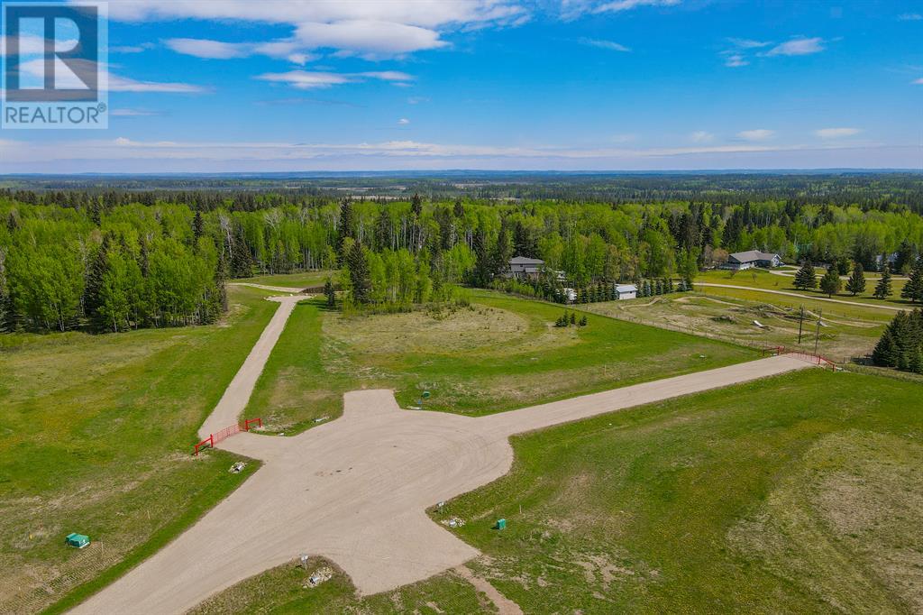 201 Fox Stone Place, Rural Clearwater County, Alberta  T4T 2A4 - Photo 18 - A2001787