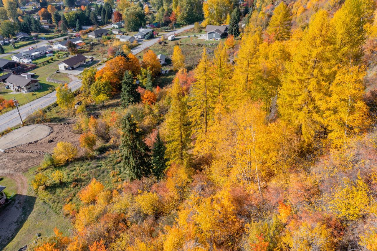 Lot B Robson Access Road, Castlegar, British Columbia  V1N 3W4 - Photo 11 - 2475738
