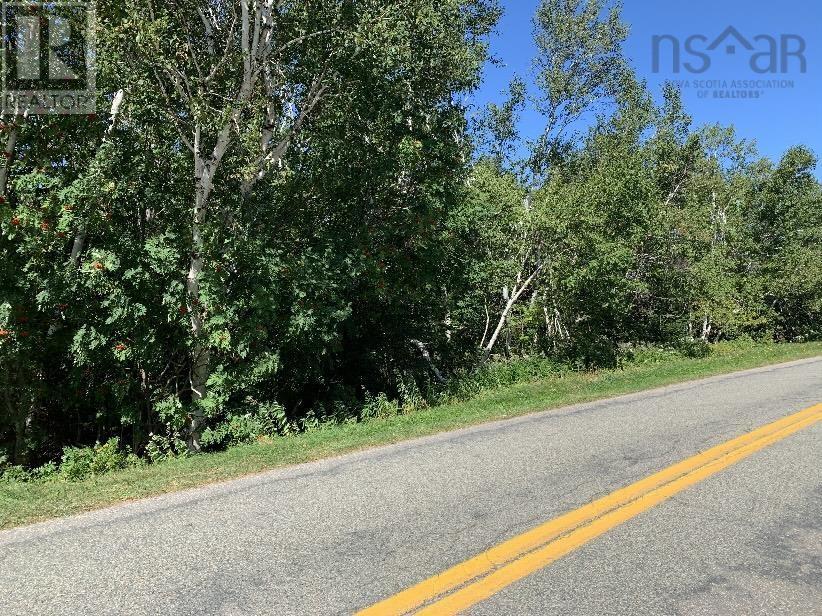 Lot 10y Treuburg Road, Port Hood, Nova Scotia  B0E 2W0 - Photo 3 - 202405613