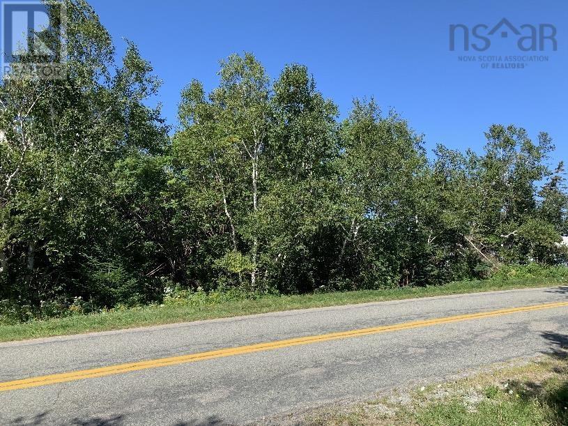 Lot 10y Treuburg Road, Port Hood, Nova Scotia  B0E 2W0 - Photo 4 - 202405613