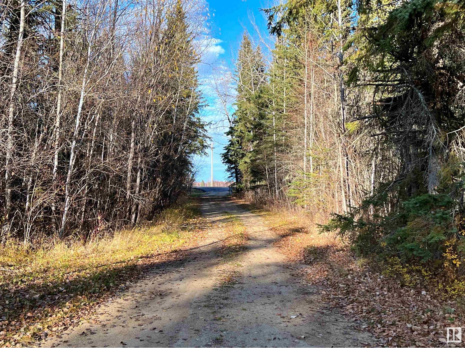 54001 Highway 661, Rural Woodlands County, Alberta  T0G 1A0 - Photo 13 - E4379109