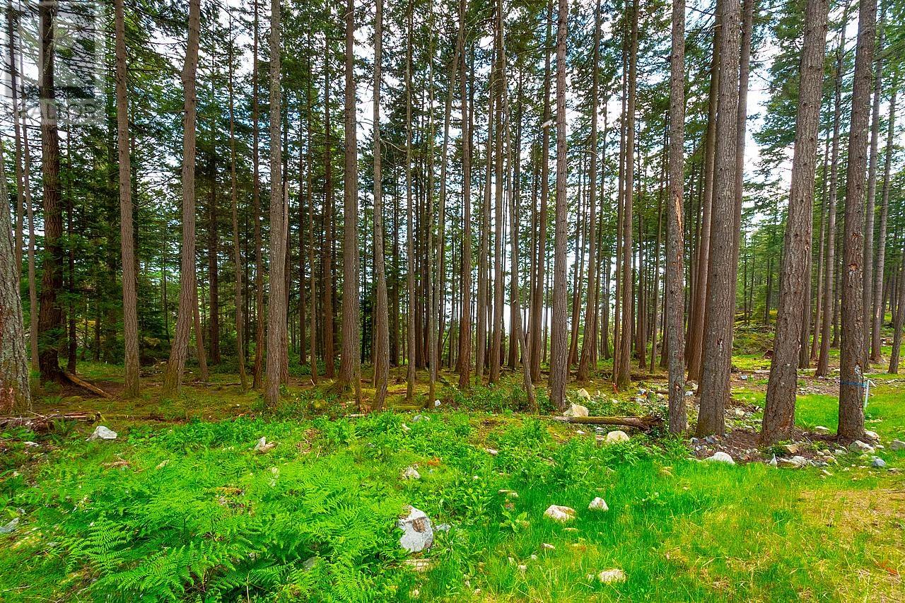 Lot 8 Hayes Road, Bowen Island, British Columbia  V0N 1G2 - Photo 3 - R2863725
