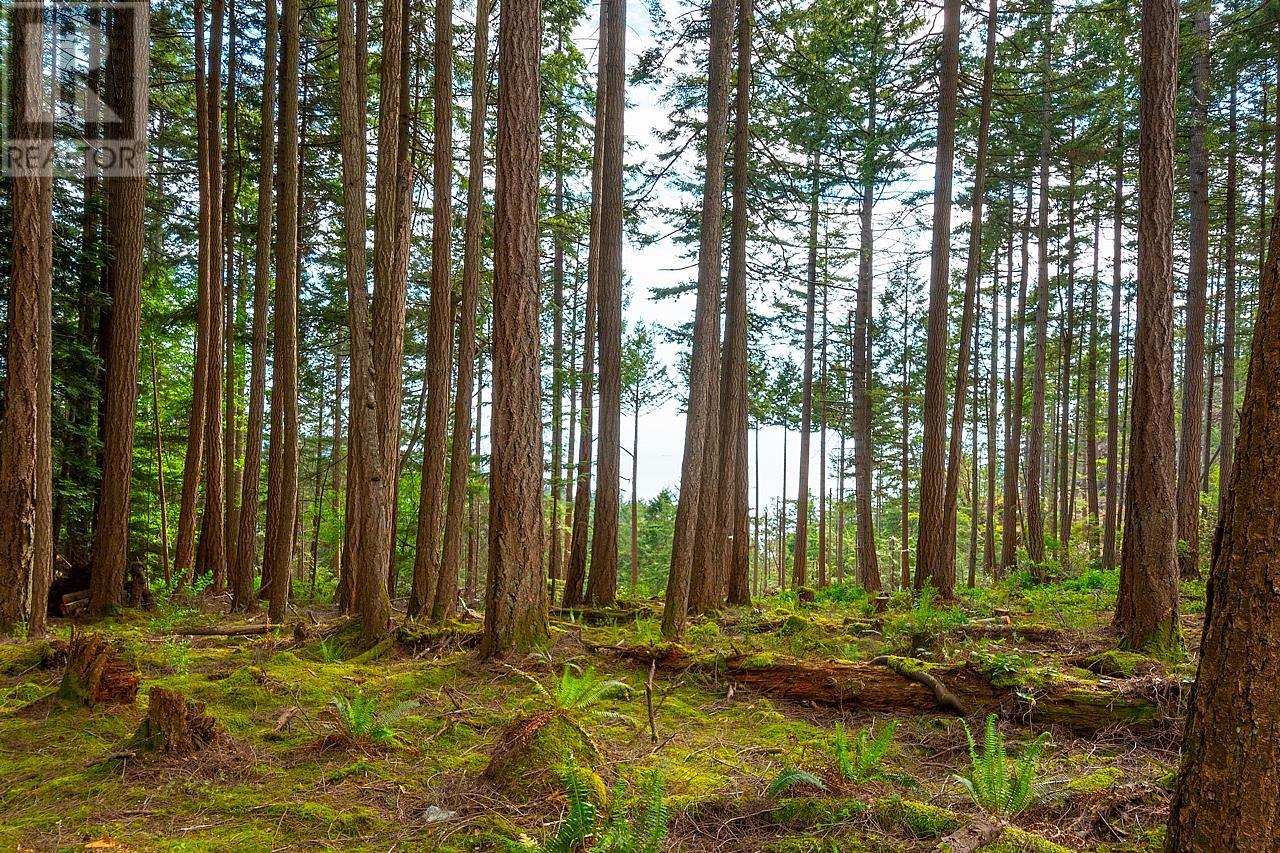Lot 8 Hayes Road, Bowen Island, British Columbia  V0N 1G2 - Photo 4 - R2863725
