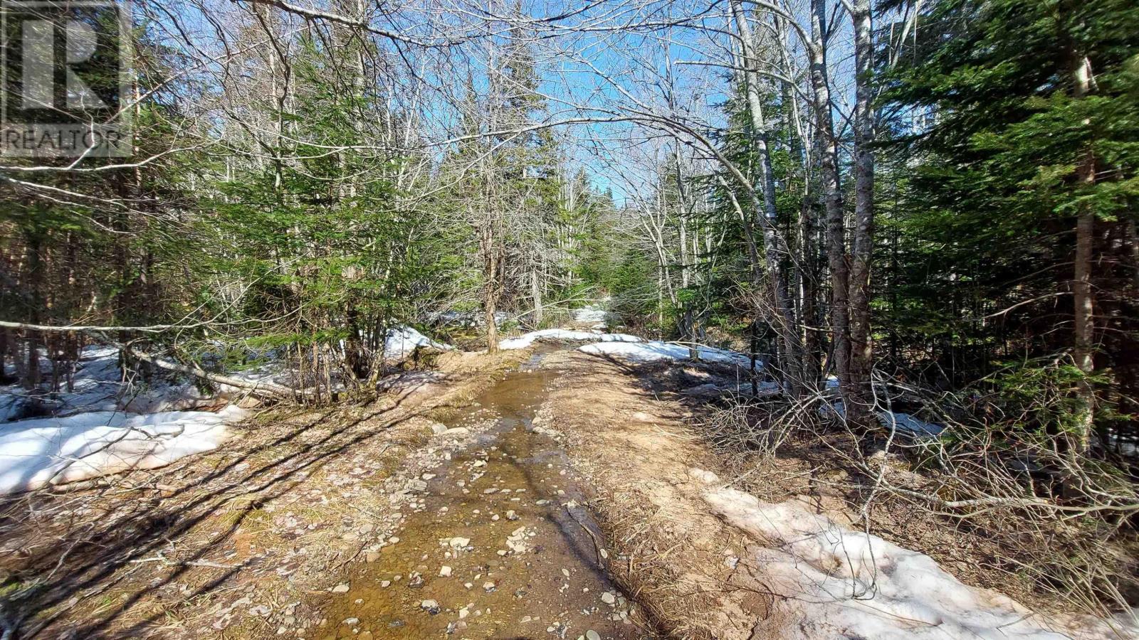 Lower River Rd, Hureauville, Nova Scotia  B0E 1J0 - Photo 11 - 202405617