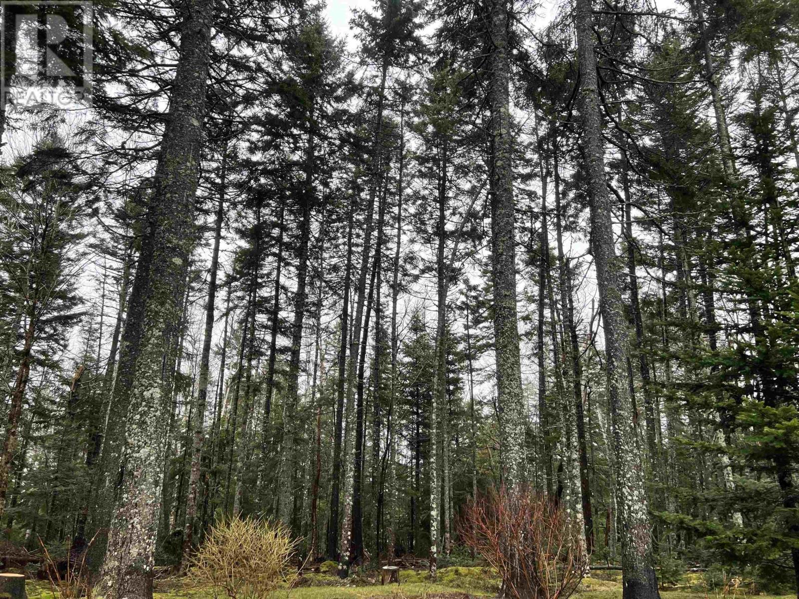 66 Colville Court, Beaver Bank, Nova Scotia  B4G 1B8 - Photo 43 - 202405631