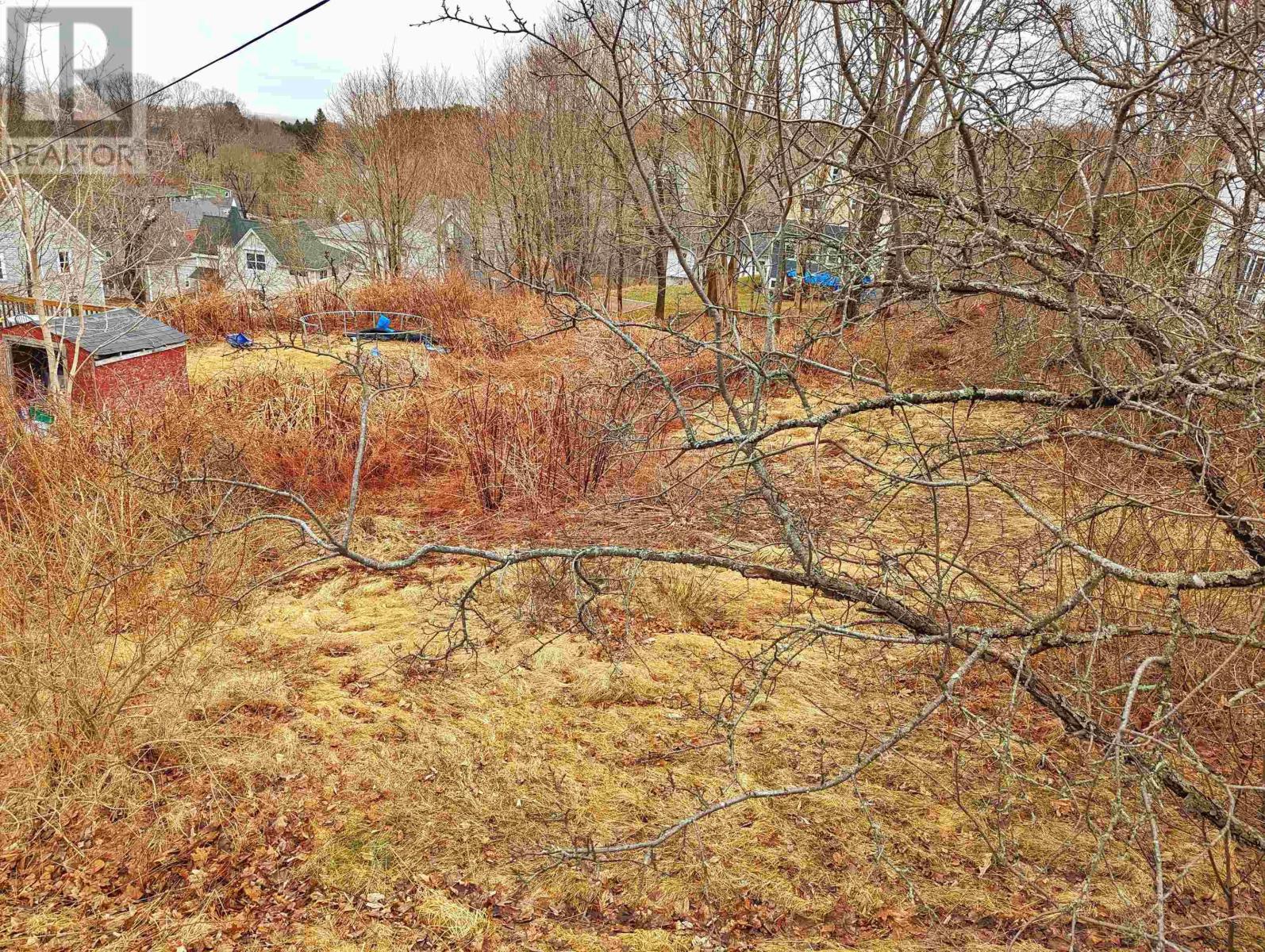 7 Hillside Avenue, Wolfville, Nova Scotia  B4P 2A9 - Photo 4 - 202405635