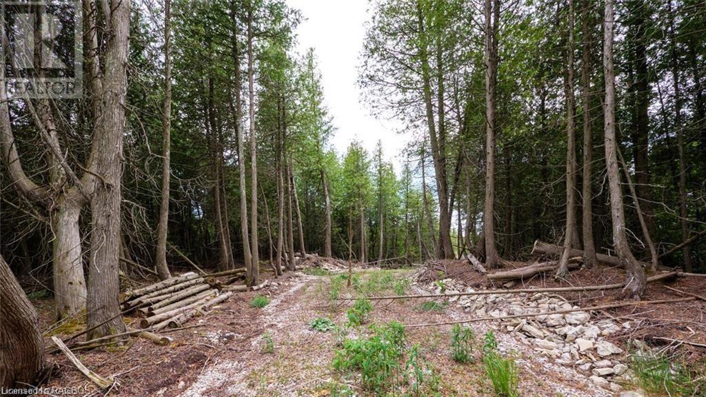 132 Bradley Drive, Northern Bruce Peninsula, Ontario  N0H 1Z0 - Photo 12 - 40562342