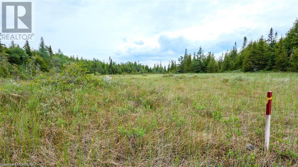 132 Bradley Drive, Northern Bruce Peninsula, Ontario  N0H 1Z0 - Photo 20 - 40562342